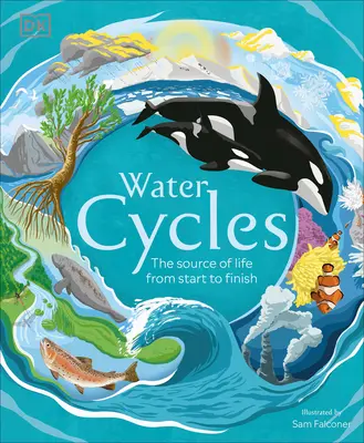 Ciclurile apei - Water Cycles