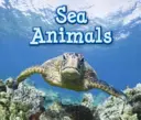 Animale marine - Sea Animals