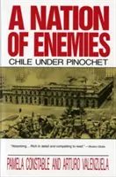 O națiune de dușmani: Chile sub Pinochet - A Nation of Enemies: Chile Under Pinochet