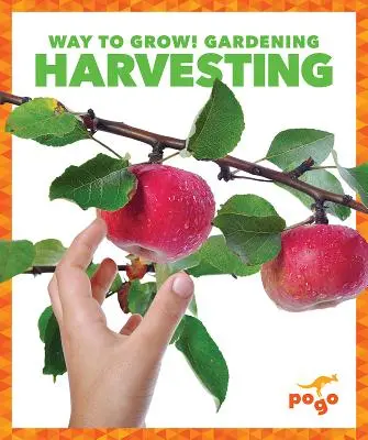 Recoltarea - Harvesting