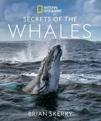 Secretele balenelor - Secrets of the Whales