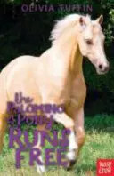 Poneiul Palomino aleargă liber - Palomino Pony Runs Free
