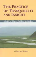 Practica liniștii și a intuiției: Un ghid pentru meditația budistă tibetană - The Practice of Tranquillity and Insight: A Guide to Tibetan Buddhist Meditation