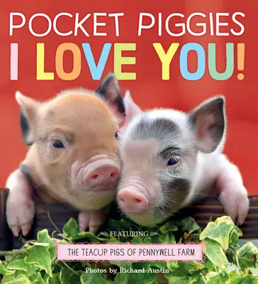 Pocket Piggies: Te iubesc! - Pocket Piggies: I Love You!