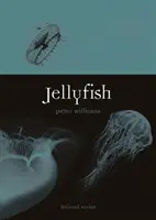 Meduze - Jellyfish