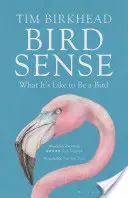 Bird Sense - Cum e să fii o pasăre - Bird Sense - What It's Like to Be a Bird