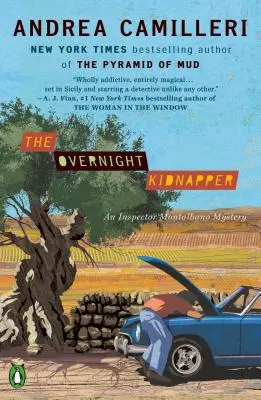 Răpitorul de peste noapte (The Overnight Kidnapper) - The Overnight Kidnapper