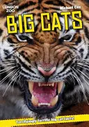 ZSL Big Cats