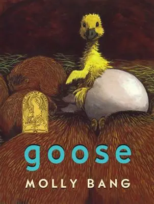 Gâscă - Goose