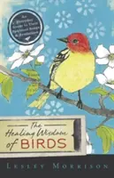 Înțelepciunea vindecătoare a păsărilor: Un ghid de zi cu zi pentru cântecele și simbolismul lor spiritual - The Healing Wisdom of Birds: An Everyday Guide to Their Spiritual Songs & Symbolism