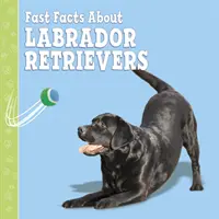 Informații rapide despre labradori - Fast Facts About Labradors