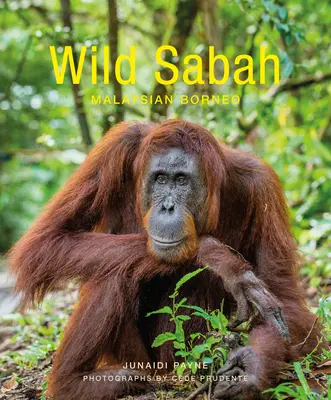 Sabah sălbatic - Wild Sabah