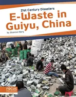 Deșeuri electronice în Guiyu, China - E-Waste in Guiyu, China