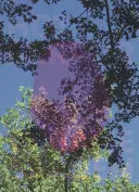 Viviane Sassen: Oglinda fierbinte - Viviane Sassen: Hot Mirror