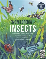 Enciclopedia Insectelor - Encyclopedia of Insects