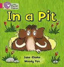 Într-o groapă - In a Pit