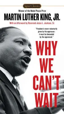 De ce nu putem aștepta - Why We Can't Wait