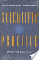 Practica științifică: Teorii și povești despre practica fizicii - Scientific Practice: Theories and Stories of Doing Physics