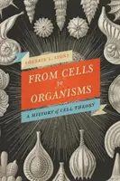 De la celule la organisme: Revizuirea teoriei celulare - From Cells to Organisms: Re-Envisioning Cell Theory