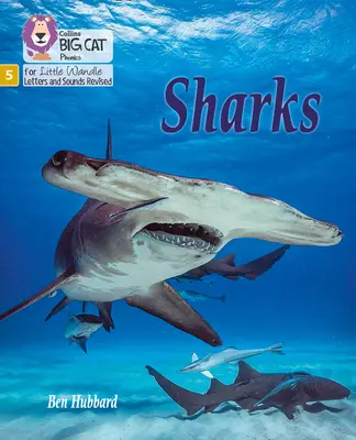 Rechini - Faza 5 - Sharks - Phase 5
