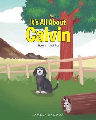 Totul despre Calvin: Cartea 1 - Cățelușul pierdut - It's All About Calvin: Book 1-Lost Pup