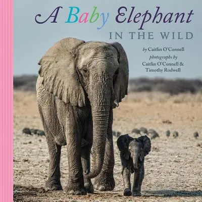 Un pui de elefant în sălbăticie - A Baby Elephant in the Wild