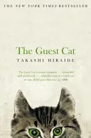 Pisica invitată - Guest Cat