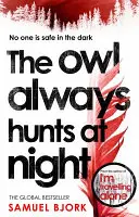 Bufnița vânează întotdeauna noaptea - Owl Always Hunts At Night