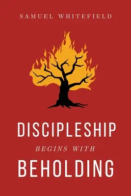 Discipolatul începe cu privirea - Discipleship Begins with Beholding