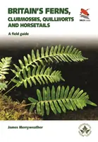 Ferns Britain's: Un ghid de teren pentru Clubmosses, Quillworts, Horsetails și Ferns din Marea Britanie și Irlanda - Britain's Ferns: A Field Guide to the Clubmosses, Quillworts, Horsetails and Ferns of Great Britain and Ireland