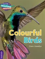 Păsări colorate Purple Band - Colourful Birds Purple Band