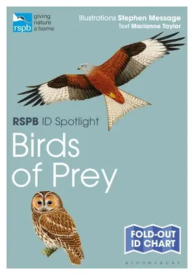 Rspb Id Spotlight - Păsări de pradă - Rspb Id Spotlight - Birds of Prey