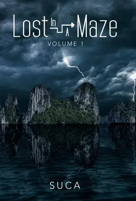 Lost in a Maze: Volumul I - Lost in a Maze: Volume I