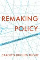 Remaking Policy: Scară, ritm și strategie politică în reforma sistemului de sănătate - Remaking Policy: Scale, Pace, and Political Strategy in Health Care Reform