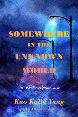 Undeva în lumea necunoscută: Memoriile unui refugiat colectiv - Somewhere in the Unknown World: A Collective Refugee Memoir