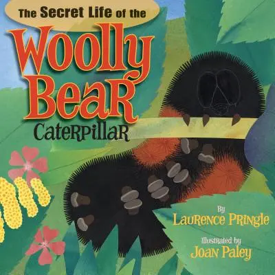 Viața secretă a omizii urs lânos - The Secret Life of the Woolly Bear Caterpillar