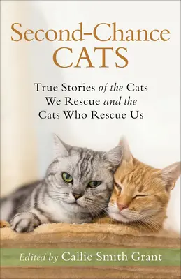 Pisici de a doua șansă: Poveștile adevărate ale pisicilor pe care le salvăm și ale pisicilor care ne salvează - Second-Chance Cats: True Stories of the Cats We Rescue and the Cats Who Rescue Us