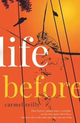 Viața înainte - Life Before