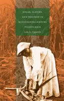 Zahăr, sclavie și libertate în Puerto Rico în secolul al XIX-lea - Sugar, Slavery, and Freedom in Nineteenth-Century Puerto Rico