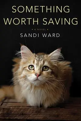 Ceva ce merită salvat - Something Worth Saving