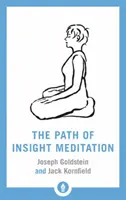 Calea meditației pline de înțelegere - The Path of Insight Meditation