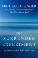 Surrender Experiment - Călătoria mea către perfecțiunea vieții - Surrender Experiment - My Journey into Life's Perfection