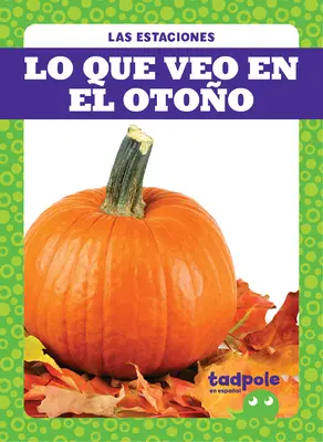 Lo Que Veo En El Otoo (Ce văd toamna) - Lo Que Veo En El Otoo (What I See Fall)