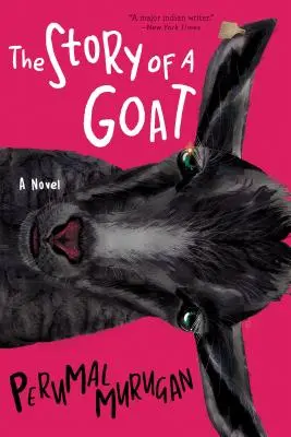 Povestea unei capre - The Story of a Goat