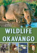 Viața sălbatică din Okavango - Wildlife of the Okavango
