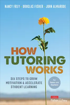 Cum funcționează meditațiile: Șase pași pentru creșterea motivației și accelerarea învățării elevilor - How Tutoring Works: Six Steps to Grow Motivation and Accelerate Student Learning