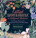 Cattail Moonshine & Milkweed Medicine: Poveștile curioase a 43 de plante native uimitoare din America de Nord - Cattail Moonshine & Milkweed Medicine: The Curious Stories of 43 Amazing North American Native Plants