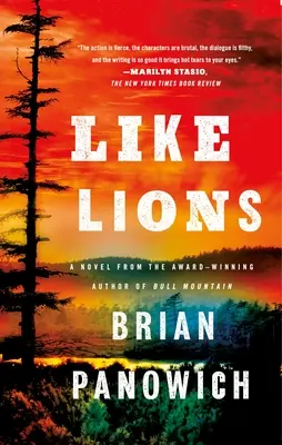 Ca leii - Like Lions