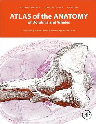 Atlas de anatomie a delfinilor și balenelor - Atlas of the Anatomy of Dolphins and Whales