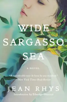 Marea Sargaselor - Wide Sargasso Sea